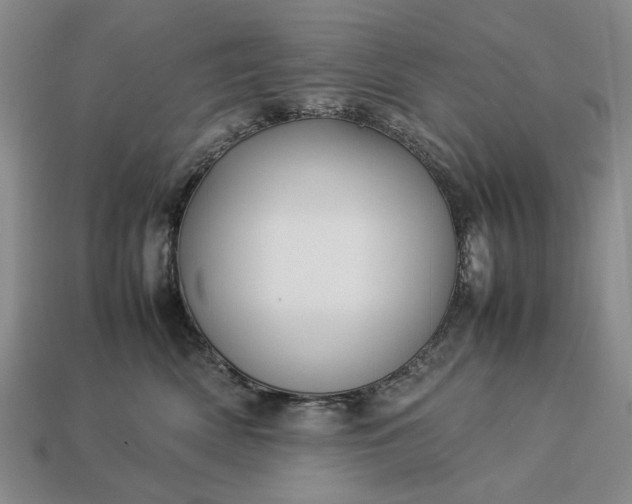 X0000113370522200909291054