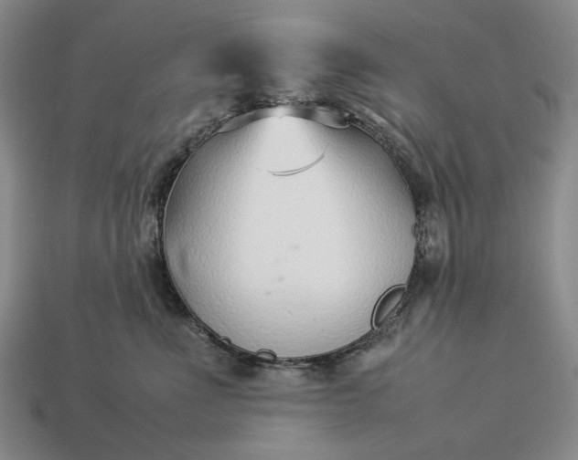 X0000113370523200909291054