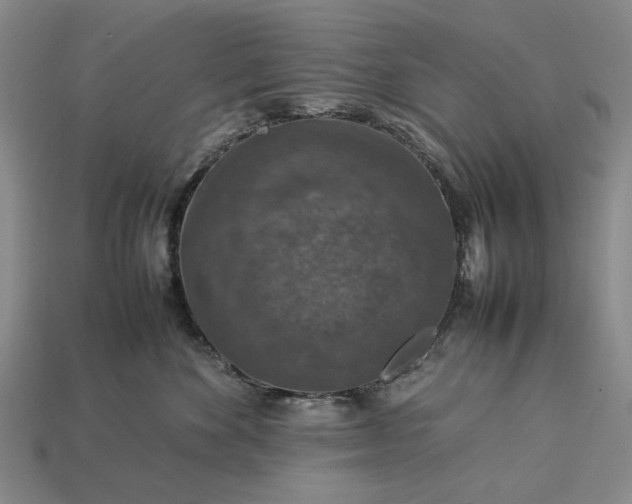 X0000113370524200909291054