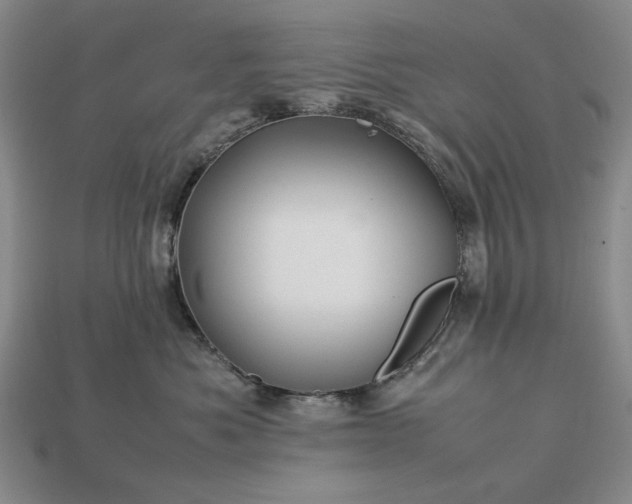 X0000113370525200909291054