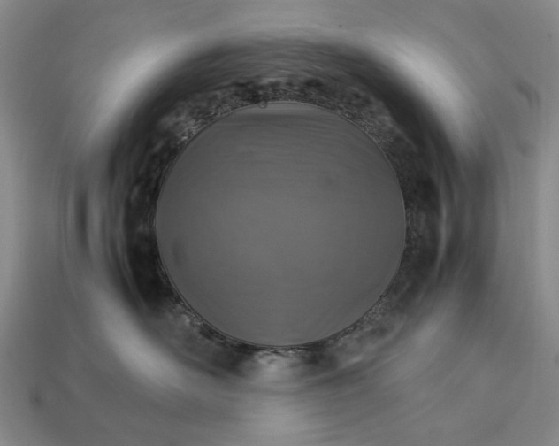 X0000113370526200909291054