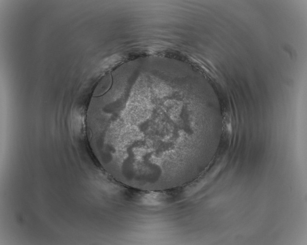 X0000113370527200909291054