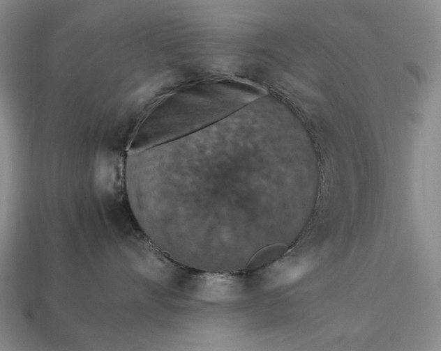 X0000113370528200909291054