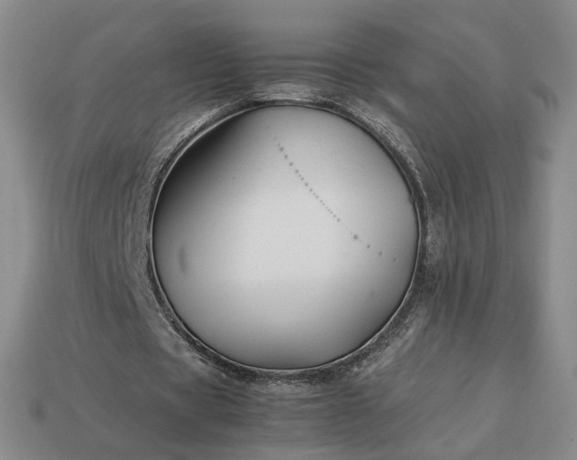 X0000113370529200909291053