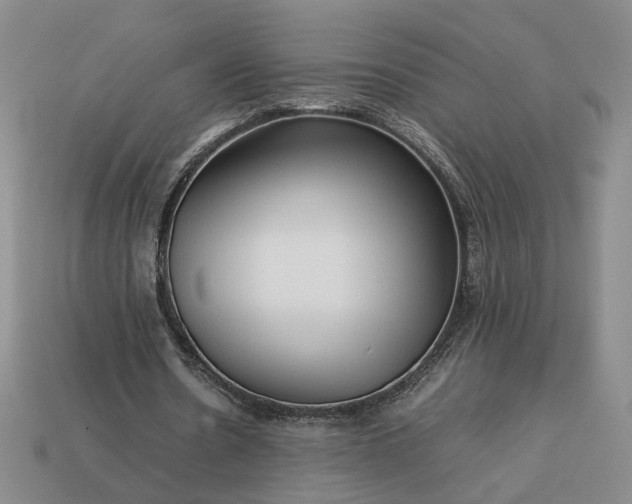 X0000113370530200909291053