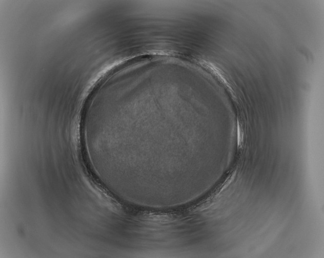 X0000113370531200909291053