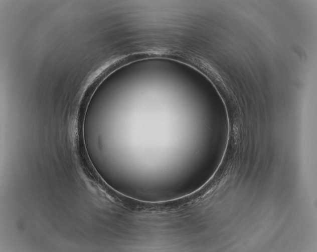 X0000113370532200909291053