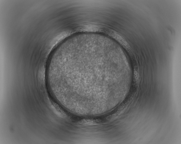 X0000113370534200909291053