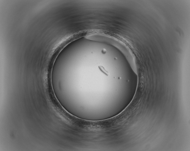 X0000113370535200909291053