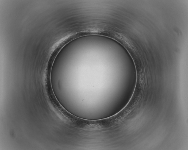 X0000113370536200909291053