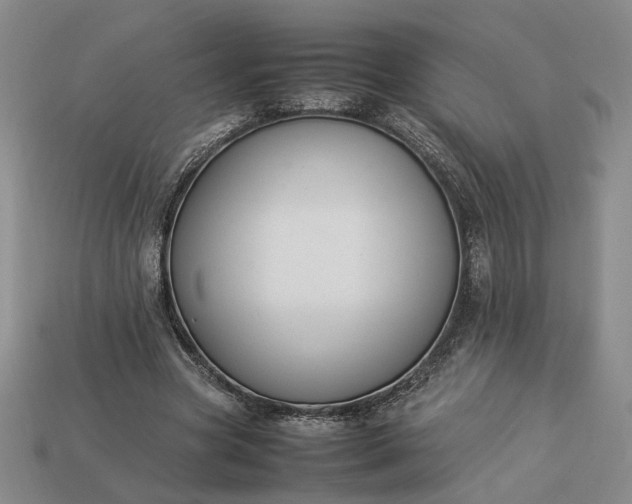 X0000113370537200909291053