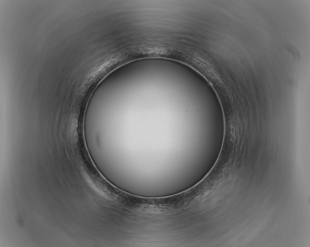 X0000113370538200909291053