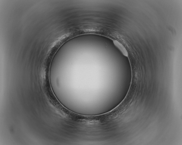 X0000113370539200909291053