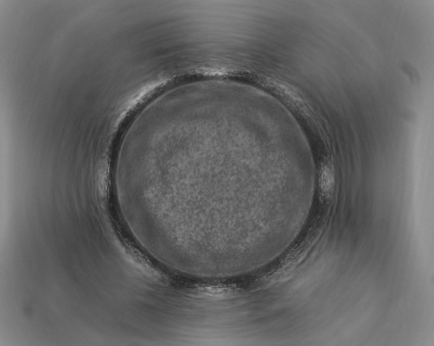 X0000113370540200909291053