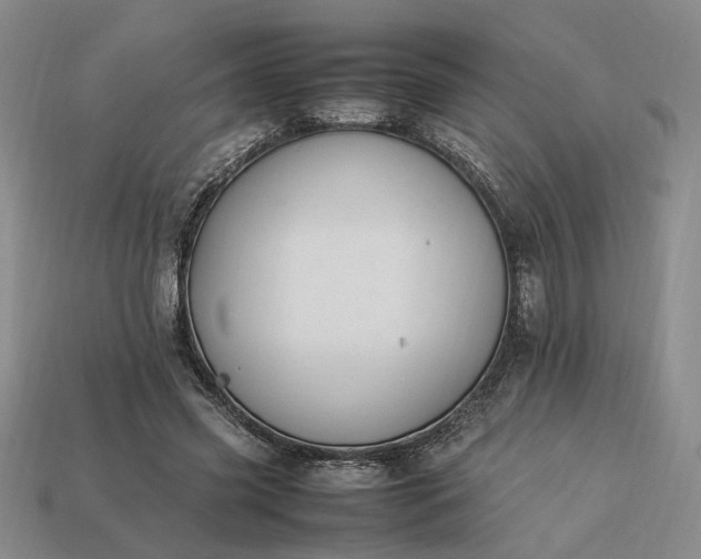 X0000113370541200909291053