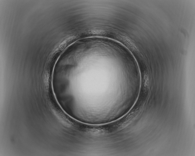 X0000113370542200909291053