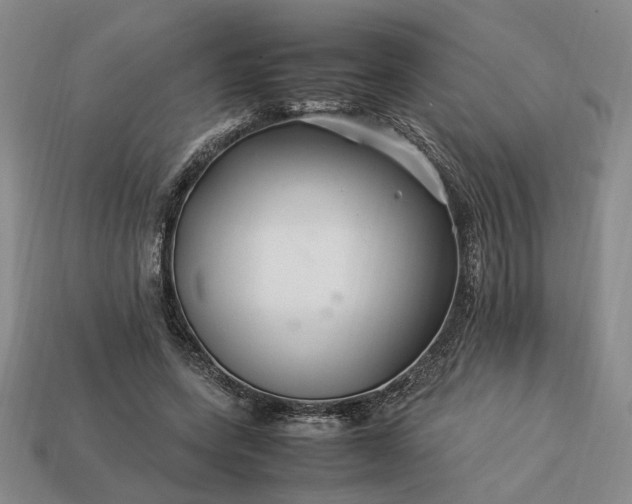 X0000113370543200909291053