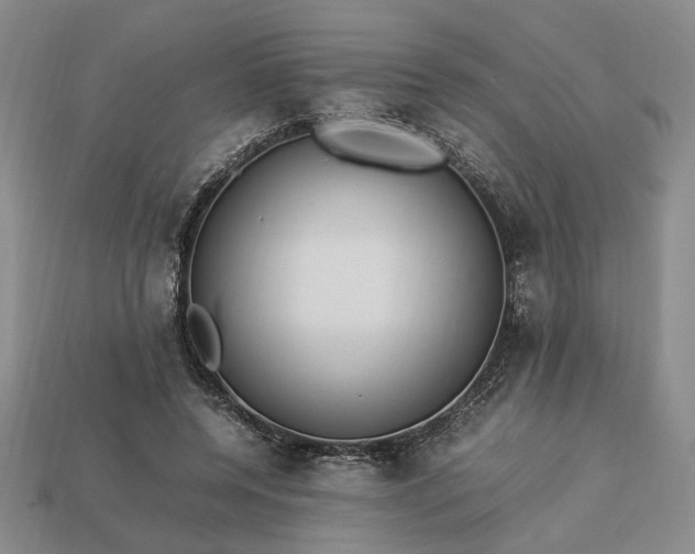 X0000113370544200909291053