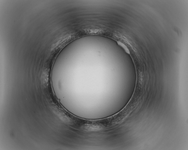 X0000113370545200909291053