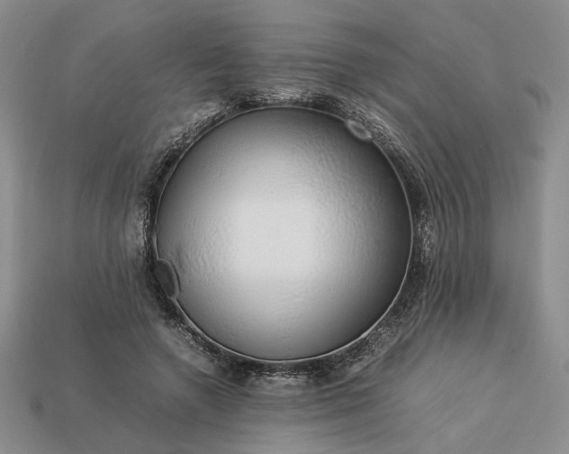 X0000113370546200909291053