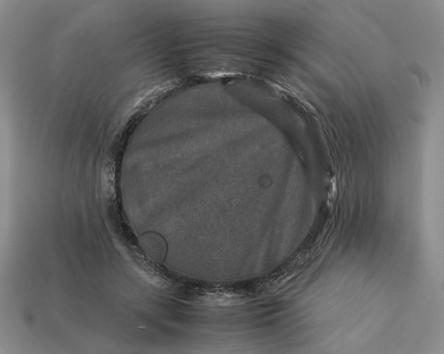 X0000113370547200909291053