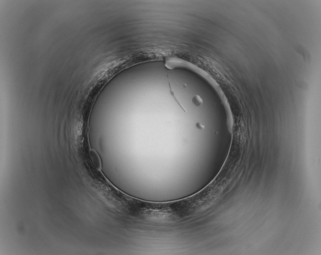 X0000113370548200909291053