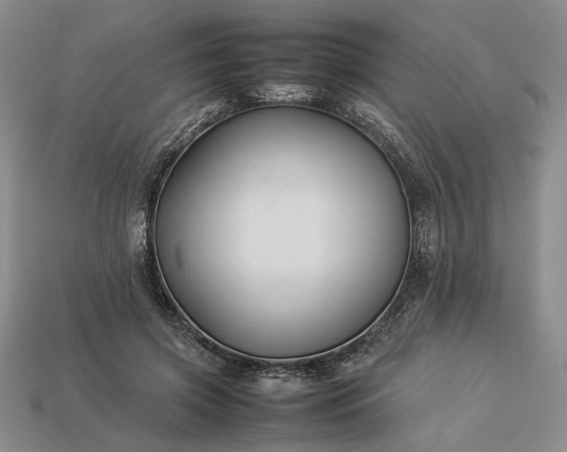 X0000113370549200909291053