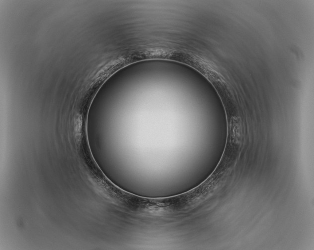 X0000113370550200909291053