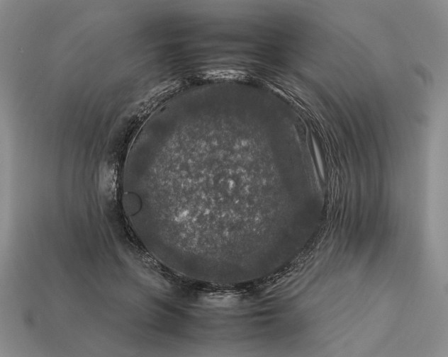 X0000113370551200909291053