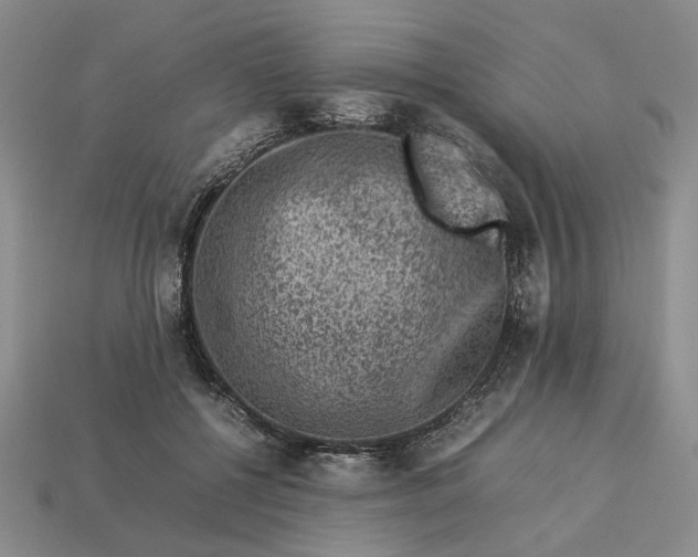 X0000113370552200909291053