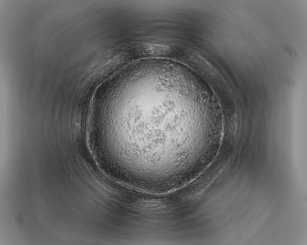 X0000113370553200909291053