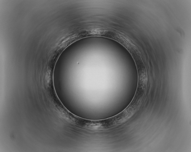 X0000113370554200909291053