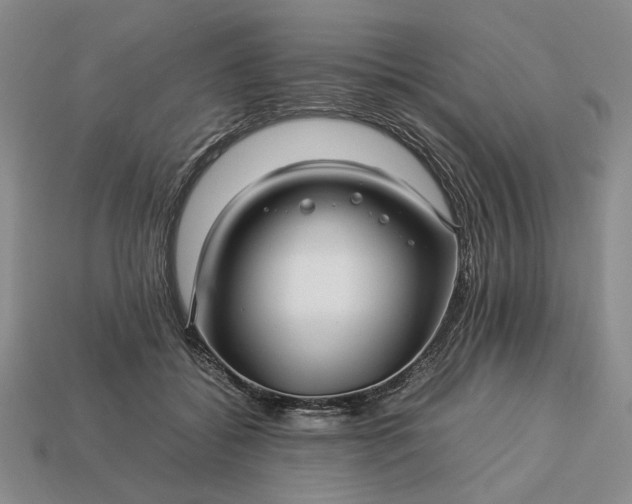 X0000113370556200909291053