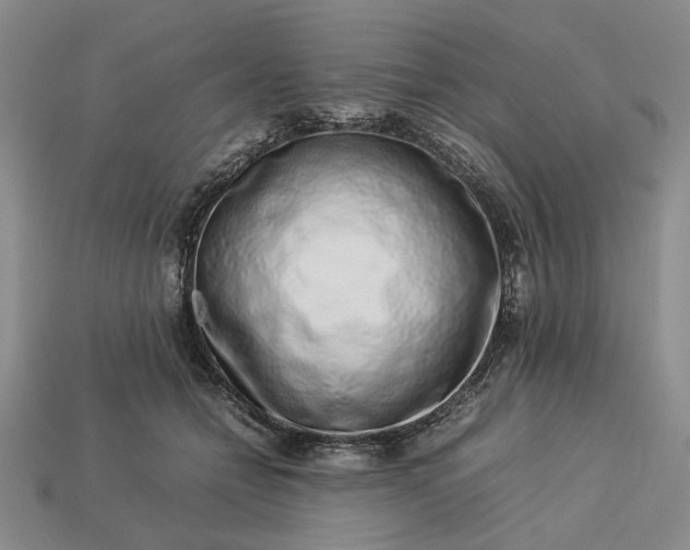 X0000113370558200909291053