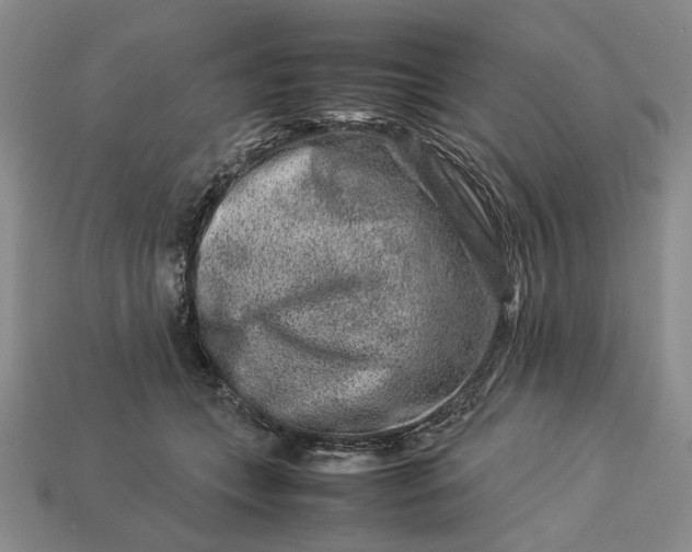 X0000113370559200909291053