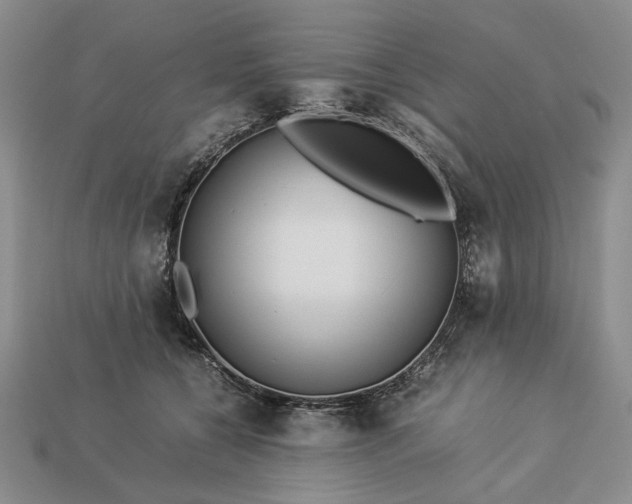 X0000113370560200909291053