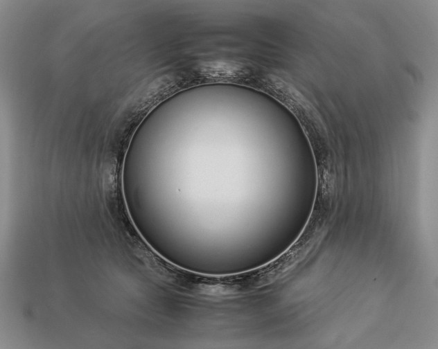 X0000113370561200909291053