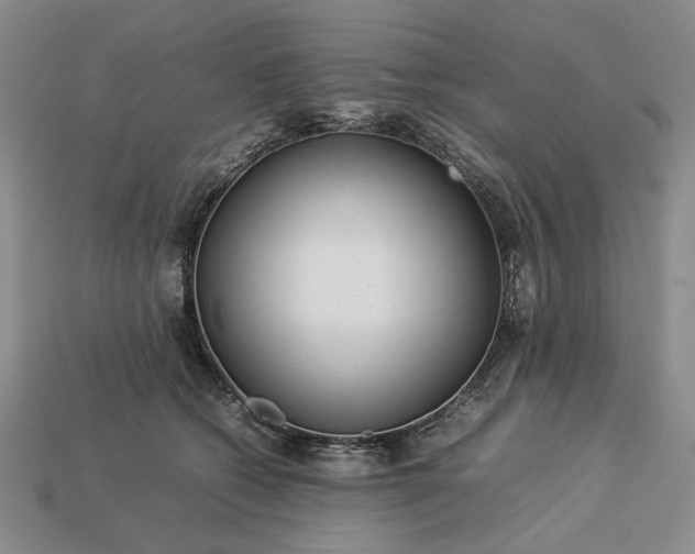 X0000113370562200909291053