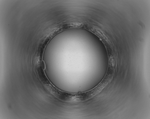 X0000113370564200909291053