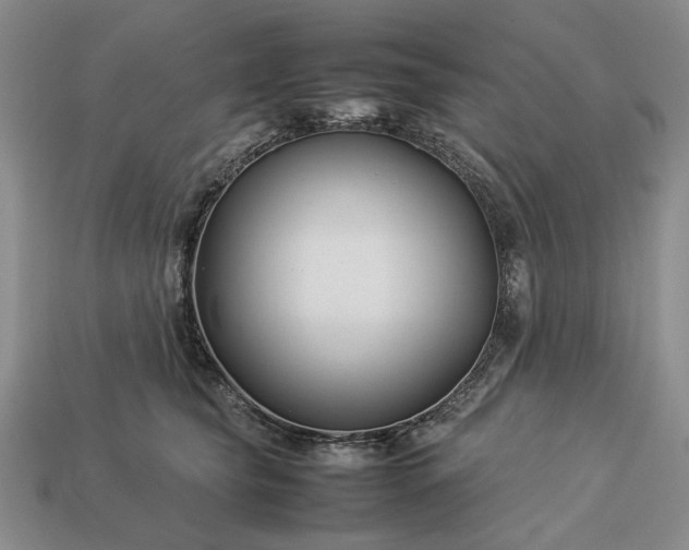 X0000113370565200909291053