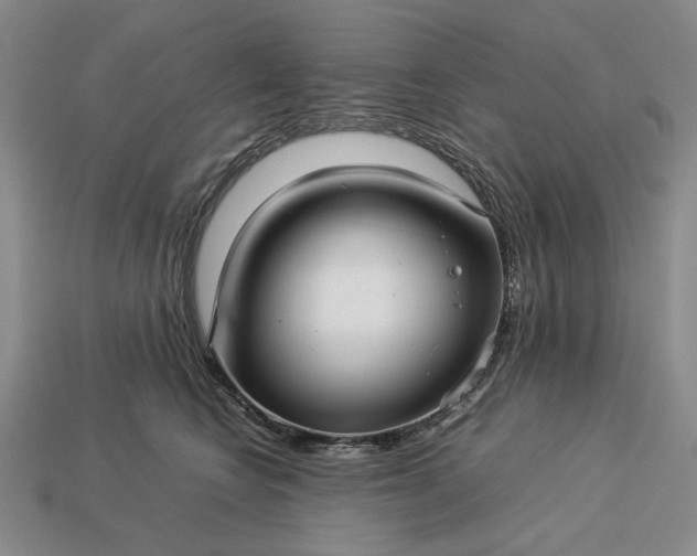 X0000113370566200909291053