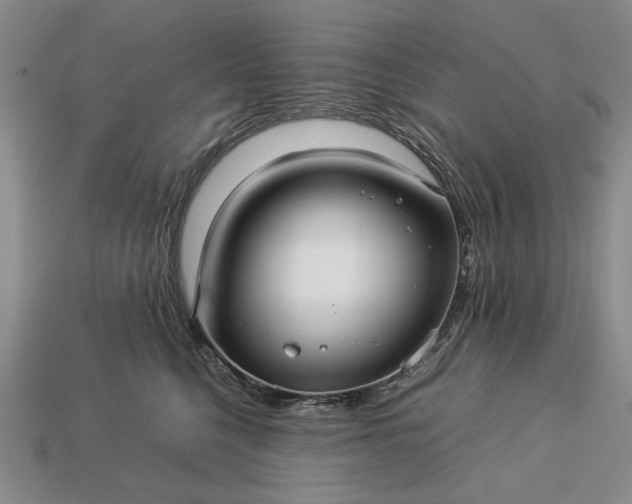 X0000113370568200909291054