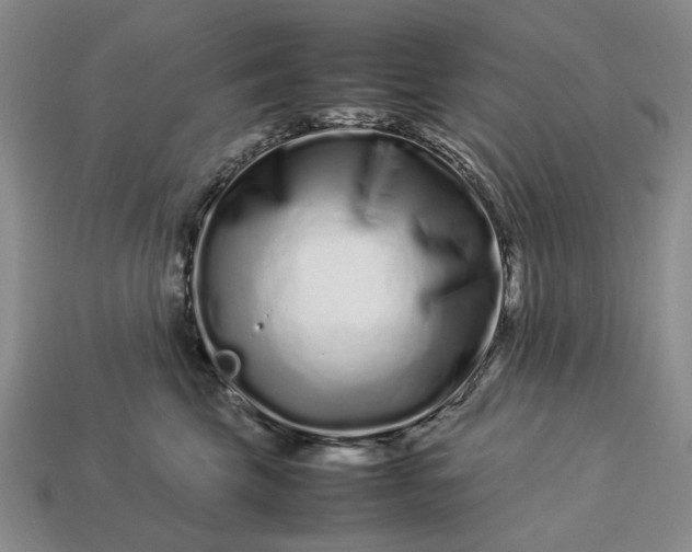 X0000113370569200909291054