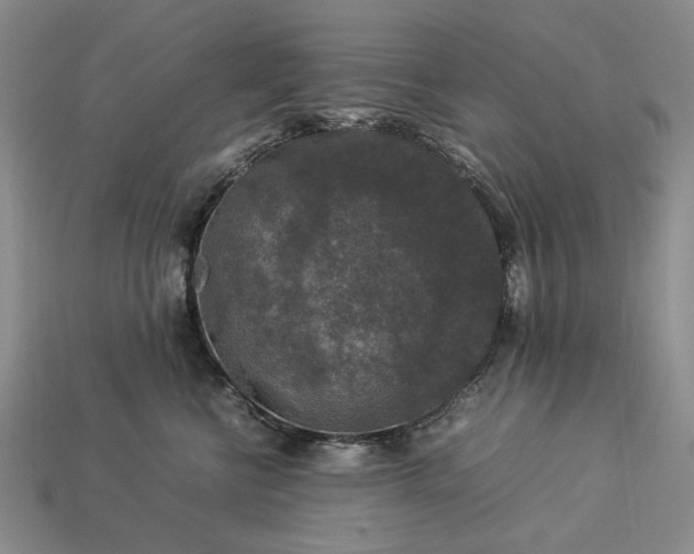 X0000113370570200909291054