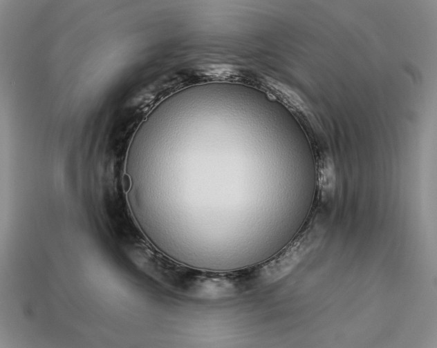 X0000113370572200909291054