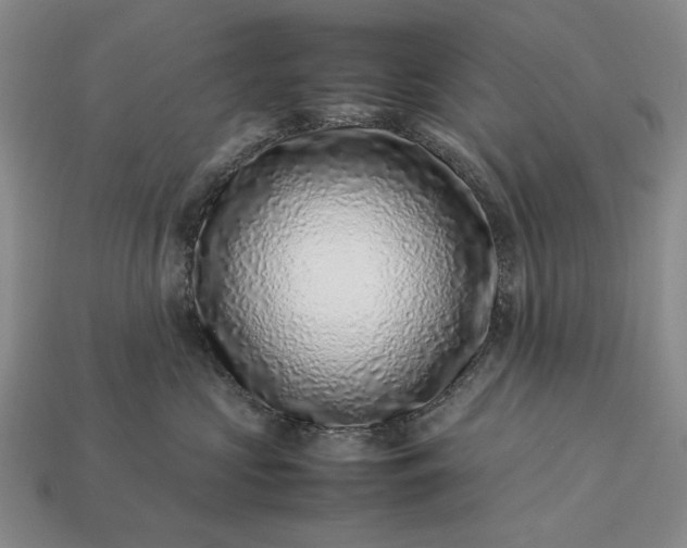 X0000113370573200909291054