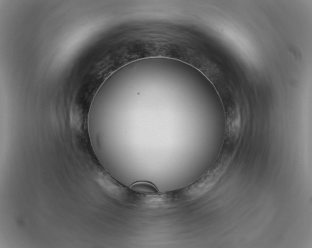 X0000113370574200909291054