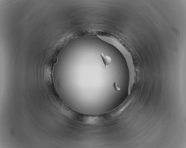 X0000113370575200909291054