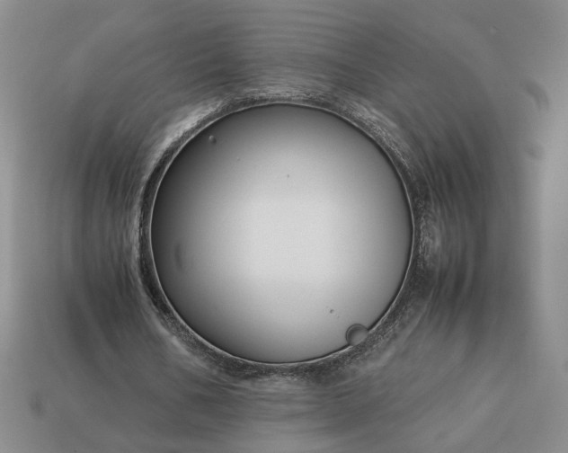 X0000113370578200909291053