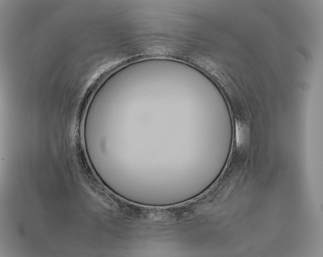 X0000113370579200909291053